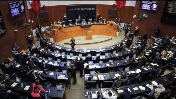 Senado avala reforma que amplía definición del delito de abuso sexual