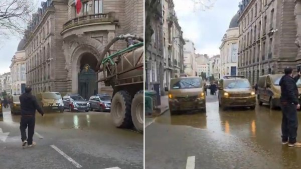 (VIDEO) Estiércol como protesta: granjeros reclaman por condiciones desfavorables en la UE