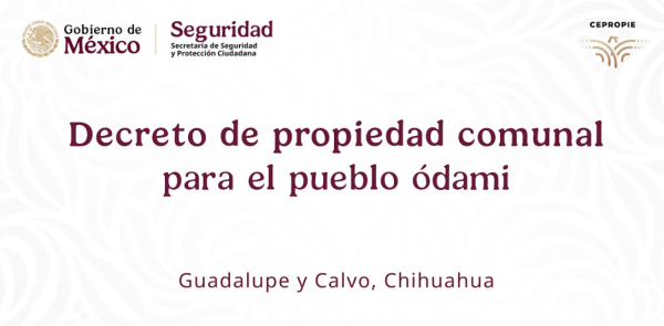En Vivo: Preside Sheinbaum el decreto de propiedad comunal para el pueblo ódami, en Guadalupe y Calvo