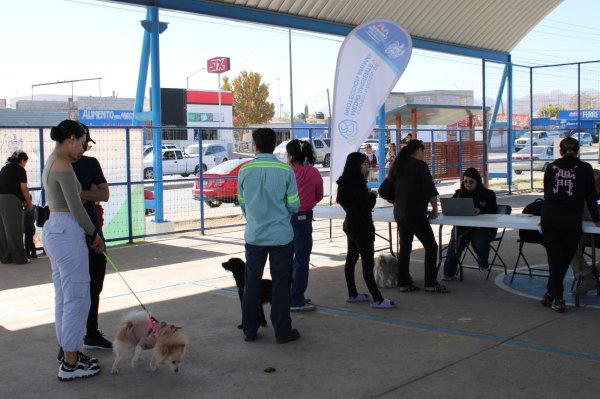 Acerca Municipio servicios gratuitos para animales de compañía a familias de Riberas de Sacramento