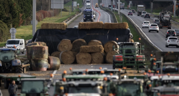 Agricultores de Francia mantienen protestas para exigir se termine con sacrificio de ganado