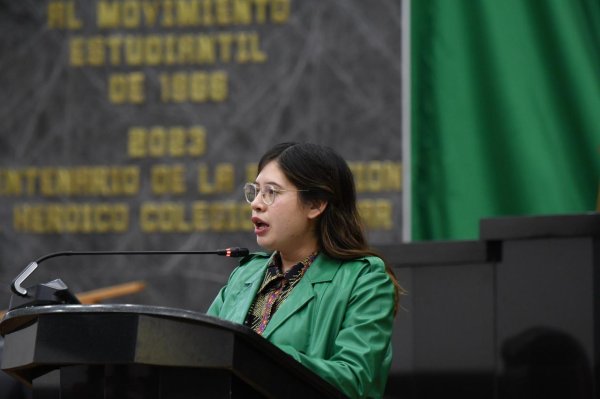 Diputada Jael Argüelles frena recortes y propone reasignar recursos para salud, mujeres y niñez en Chihuahua