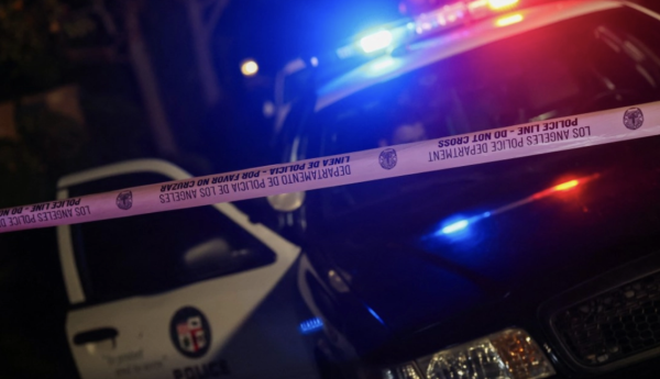 Hijo del cineasta Rob Reiner comparece por primera vez por parricidio