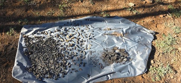 Localizan fragmentos óseos y evidencia en rastreo efectuado en Madera