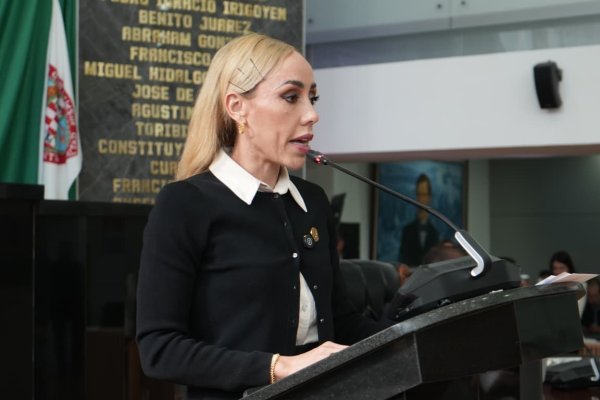 PAN frena exhorto para esclarecer el sobrecosto en puentes financiados con crédito de 570 mdp: Brenda Ríos