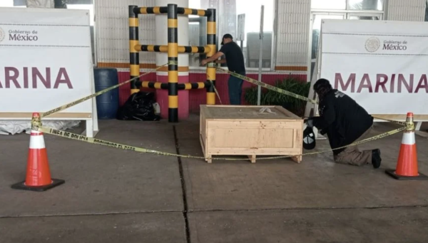 Descubren cargamento de droga psicodélica en recinto portuario de Veracruz; iba rumbo al extranjero