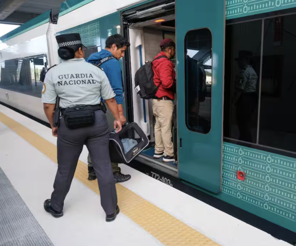 Tren Maya arrolla y mata a hombre que brincó una valla en Yucatán