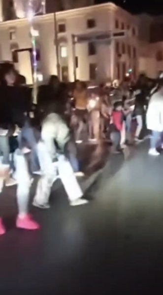 Bailan chihuahuenses 