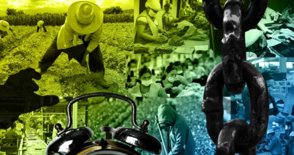 Denuncia anónima y trabajo forzoso: la apuesta de México para cumplir el Artículo 23.6 del T-MEC