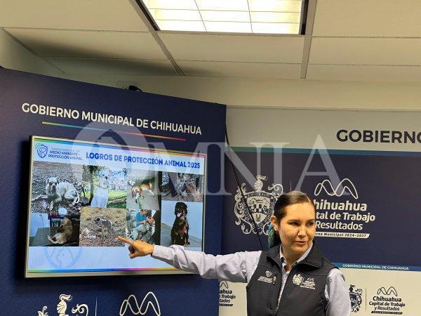 Consiguió Protección Animal brindar 54 adopciones durante los últimos seis meses