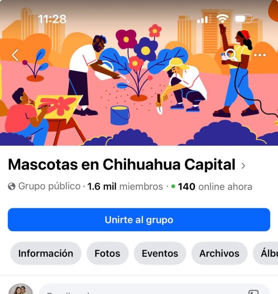 Piden Municipio adoptar y no comprar perritos en temporada navideña