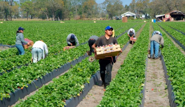 Gobierno de Trump triplica incentivo para migrantes que quieran salir de EU: ofrece tres mil dólares