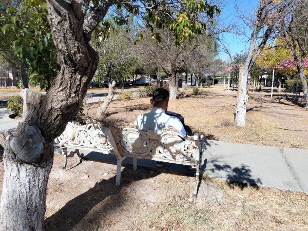 Recomienda Secretaría de Salud adoptar hábitos saludables ante riesgo de depresión en temporada decembrina