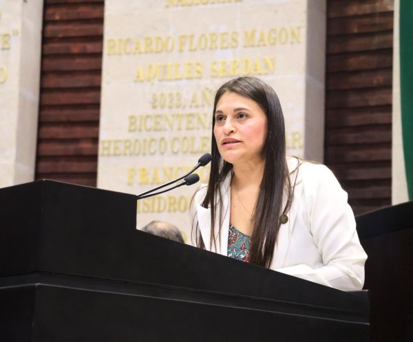 La reforma sobre personas desaparecidas no fortalece la búsqueda; viola derecho a privacidad y aumenta control de la  población: Dip. Rocío González