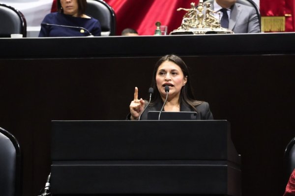 Nueva Ley de Telecomunicaciones, anticonstitucional y de control ciudadano: diputada González Alonso