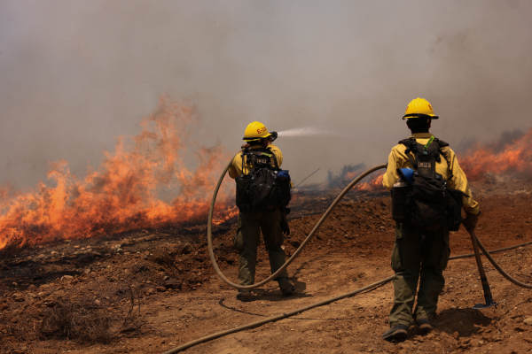 California combate su mayor incendio forestal del añ