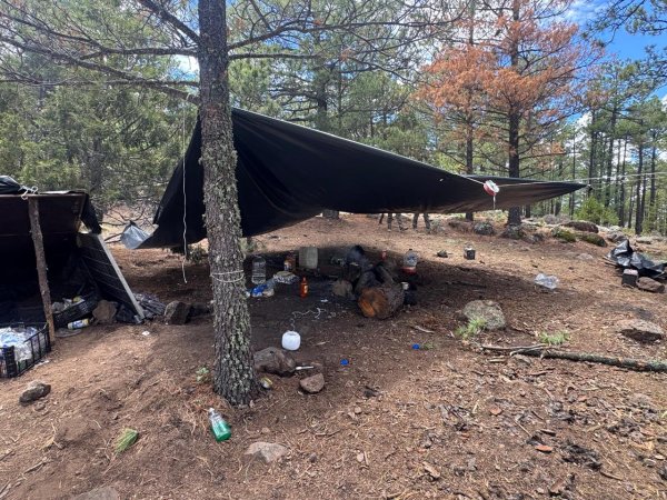 Destruye SSPE campamento presuntamente utilizado por integrantes del crimen organizado en Madera