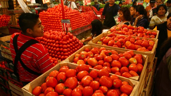 EU alista arancel al tomate mexicano; GCMA llama al diálogo bilateral para renovar acuerdo