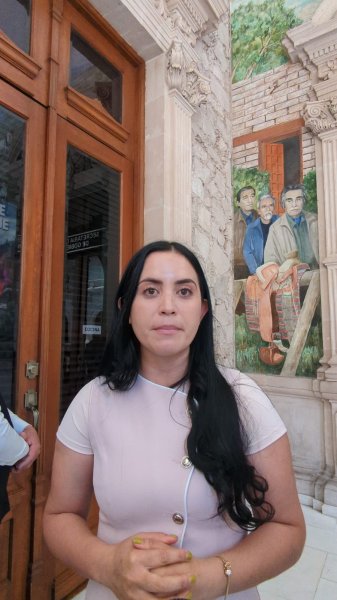 Siempre ha habido comunicación con el Gobierno; no he estado desaparecida: Ana Laura González