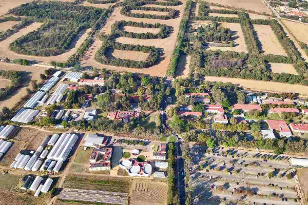 Caso Las Agujas: UdeG exige seguridad tras hallazgo de bolsas con segmentos humanos cerca de campus