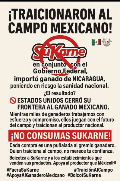 Circula en redes campaña contra SuKarne por presunta importación de ganado nicaragüense