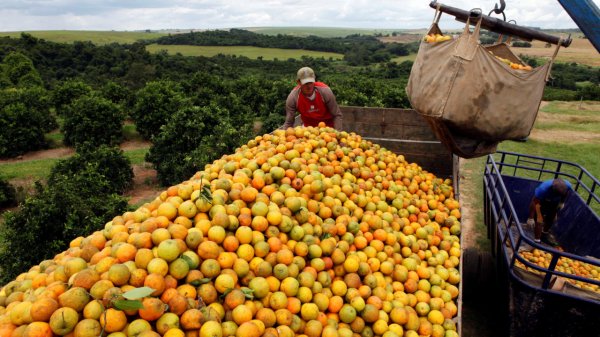 Brasil busca nuevos mercados tras arancel del 50% de Estados Unidos a sus alimentos