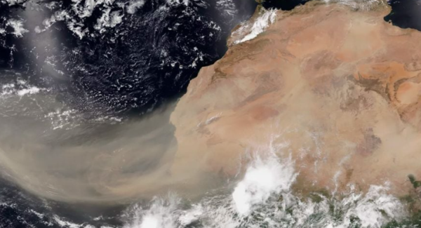 Tormentas de polvo del Sahara afectaron la calidad del aire en Europa y el Caribe, asegura experto
