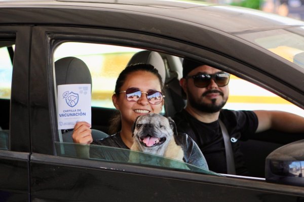 Brindó Municipio más de dos mil 800 servicios gratuitos a perros y gatos en el Polideportivo