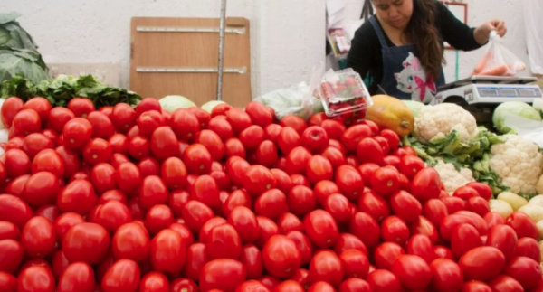 EU pone en marcha arancel de casi 21% al jitomate importado desde México; prevén aumento de precio
