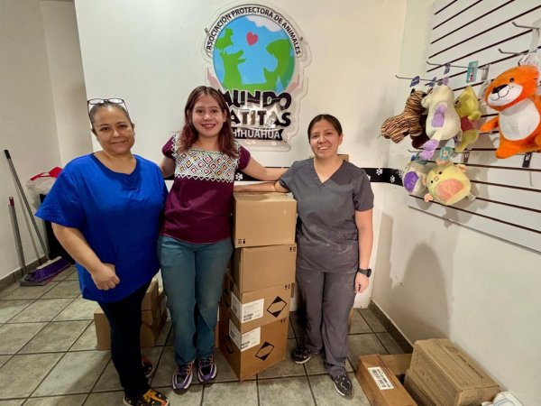 Dona diputada Jael Argüelles insumos médicos a organizaciones de bienestar animal