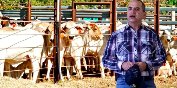 Imperdonable nuevo cierre de frontera a la exportación de ganado por descuido e inacción del gobierno federal:  Noel Chávez
