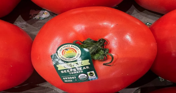 Productores mexicanos alertan alza de precios y riesgo alimentario por aranceles al jitomate