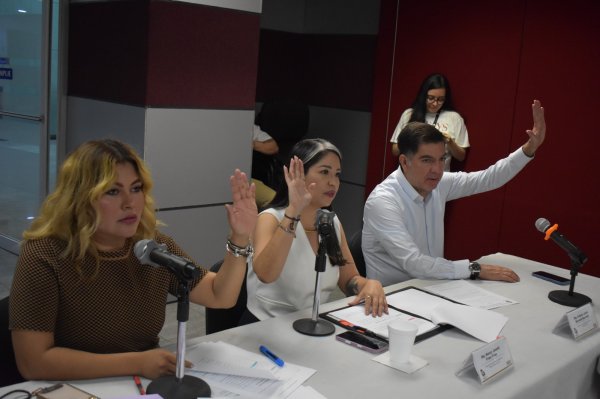 Aprueban proyecto de dictamen para que municipios usen tecnología en la protección de mujeres en situación de riesgo