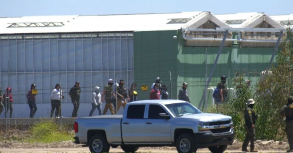 Redadas migratorias siembran el miedo entre trabajadores en campos de fruta de California