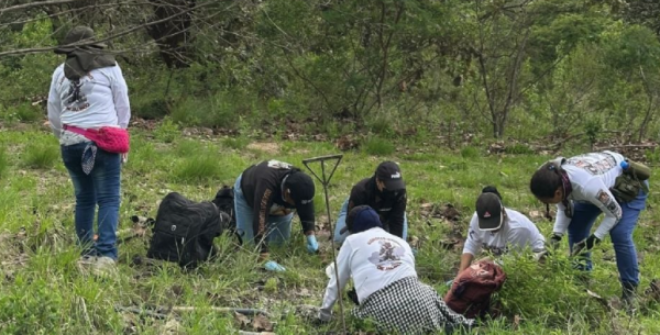 Guerreros Buscadores de Jalisco reporta hallazgo de un crematorio clandestino cerca de Teuchitlán