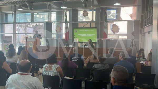 Encabeza el diputado Borunda segundo foro de consulta de Bienestar Animal en Chihuahua