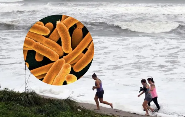 Van cuatro muertos en Florida por una bacteria carnívora presente en el mar