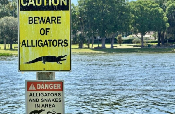 Abogados de personas detenidas en Alligator Alactraz acusan pésimas condiciones y falta de acceso a asesoría legal