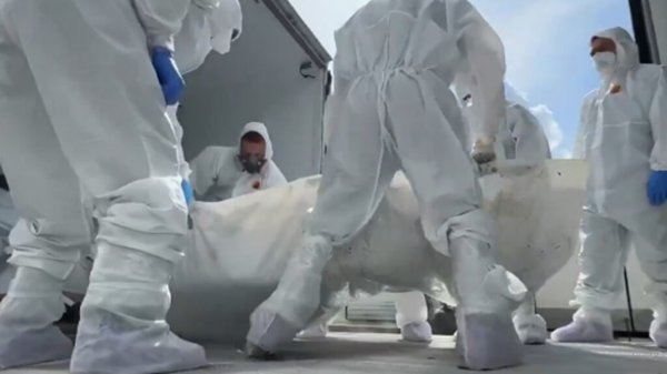 Rusia entrega a Ucrania los cuerpos de mil soldados en acuerdo de repatriación