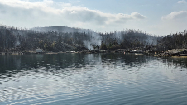 Incendios forestales en Canadá han arrasado con más de 5.5 millones de héctareas este año