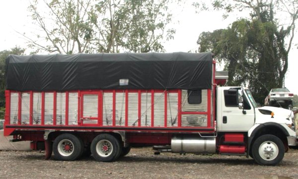 FGR obtiene sentencia de 15 años de prisión con tra dos personas por robo de autotransporte federal con 20 toneladas de naranja