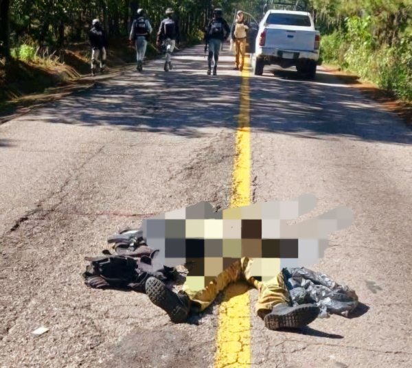 La violencia se impone en Guadalupe y Calvo, pese a presencia de fuerzas de seguridad