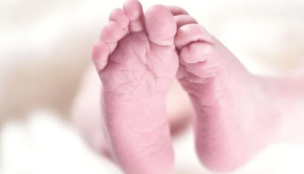 De un bebé herido a un escándalo internacional: la historia de la pareja investigada por tener 21 hijos
