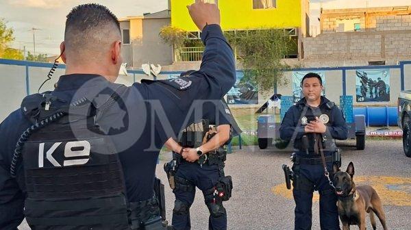 Perros K-9, compañeros que impulsan las detenciones y brindan mejores resultados