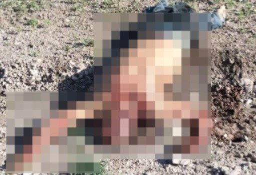 En menos de 24 horas localizan a dos personas sin vida en Pueblito de Allende
