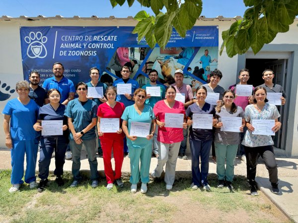 Esterilizan a más de 100 gatos en instalaciones del Centro de Rescate Animal de Delicias