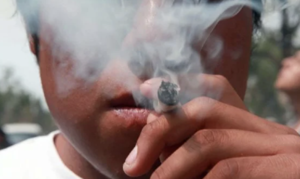 Secretaría de Salud inicia Encuesta Nacional de Consumo de Drogas, Alcohol y Tabaco 2025