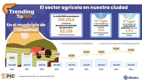 Producción agrícola del municipio de Chihuahua disminuyó un 20% entre 2023 y 2024: PIC´sp