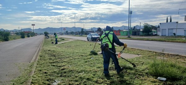Municipio retiró 45 toneladas de arrastres en la colonia Ampliación Nuevo Triunfo