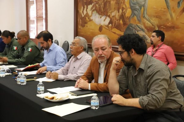 Implementan campaña de denuncia anónima contra la tala ilegal